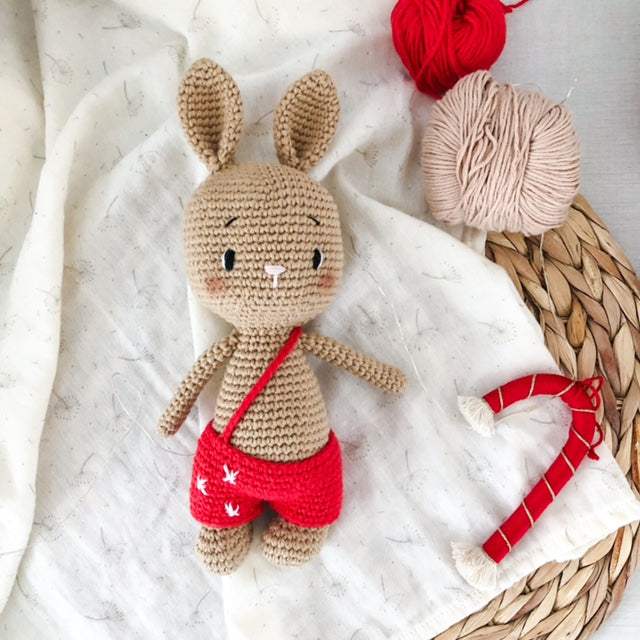 Box Coniglio con salopette Xmas Red