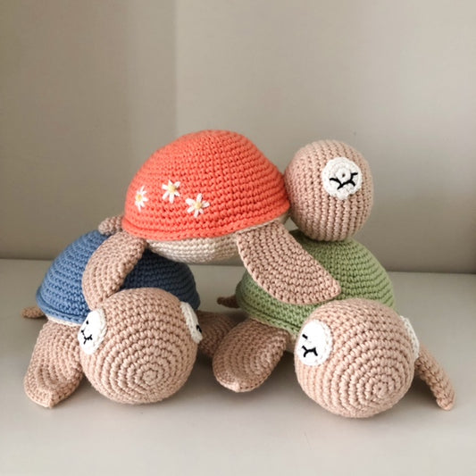 Tartaruga Sonaglio o Senza PREORDINE