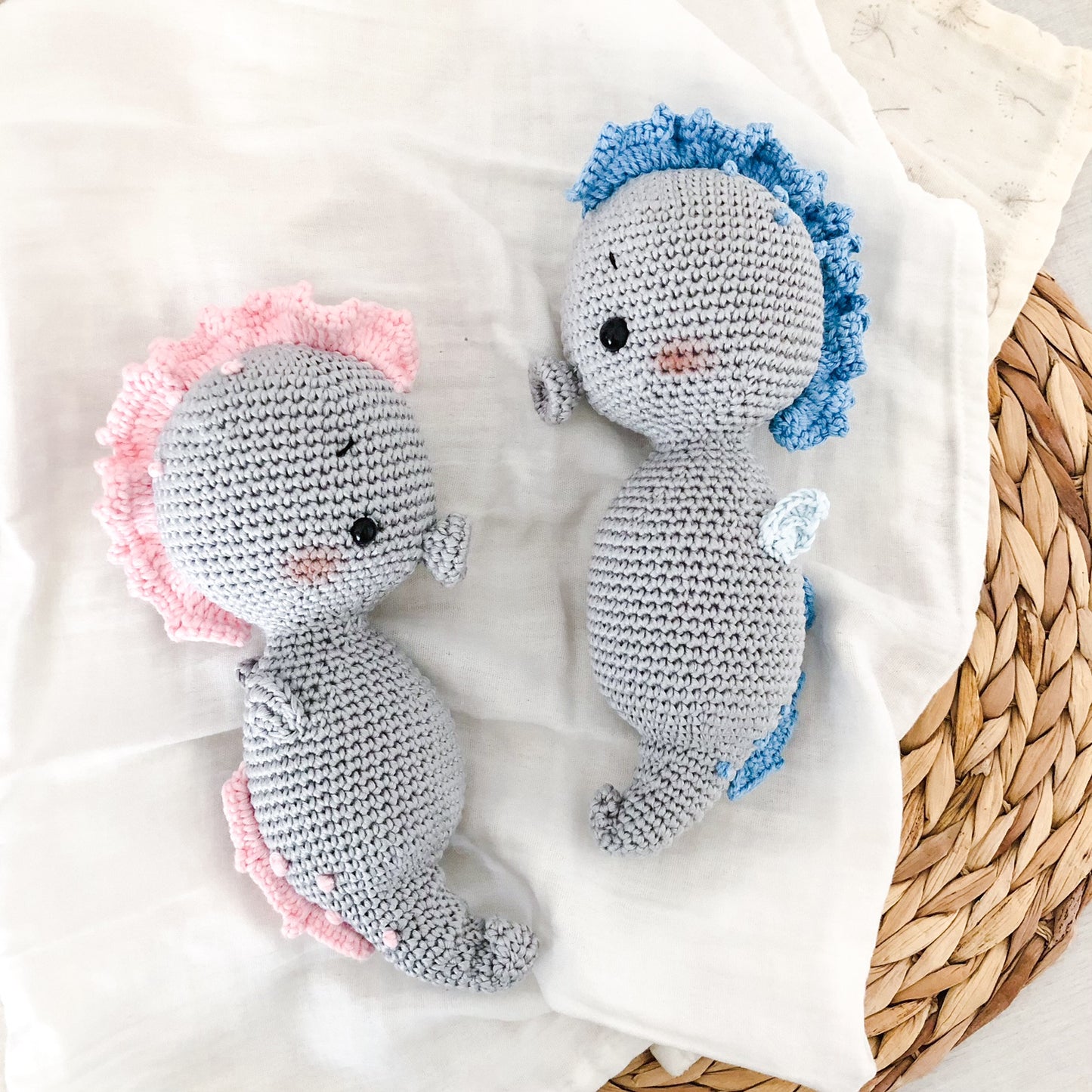 Cavalluccio Marino "Pink"